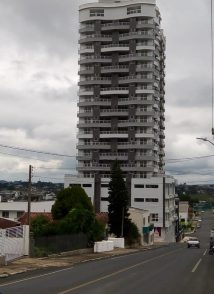 Araucaria - Mafra